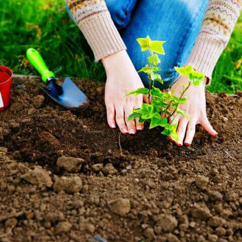 Other Cannabis Product Packaging