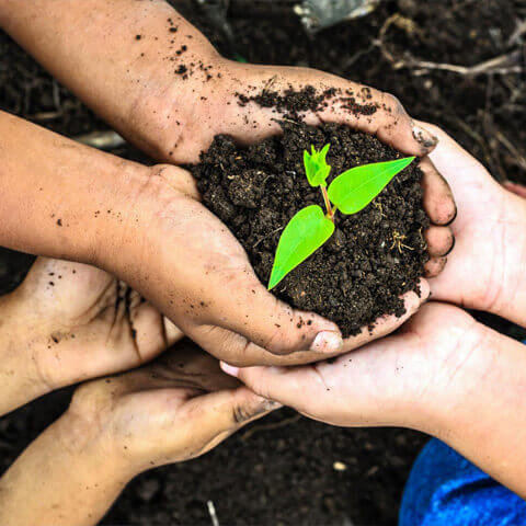 Edibles & Infused Products Packaging