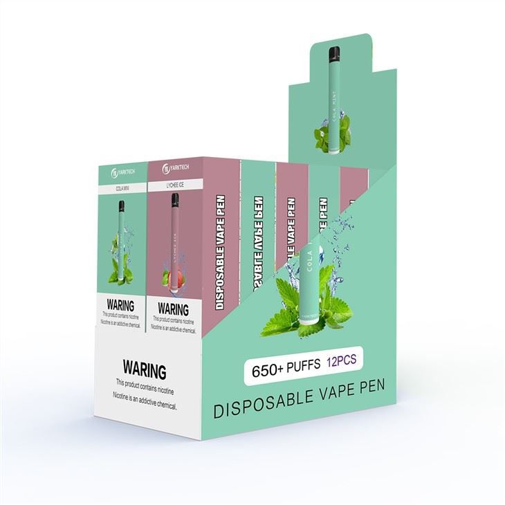 650 Puffs Disposable Pod Vape
